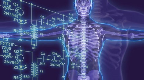X-ray image of human skeleton